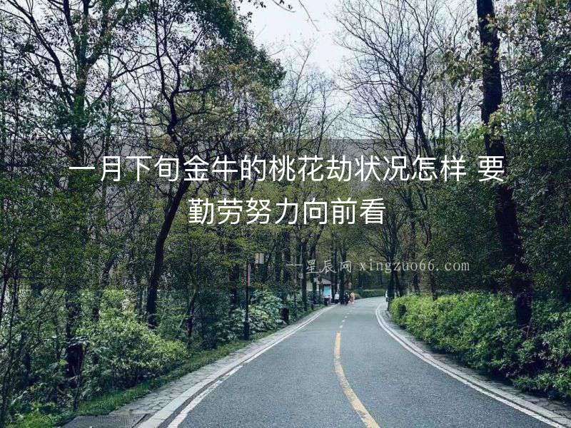 一月下旬金牛的桃花劫狀況怎樣 要勤勞努力向前看