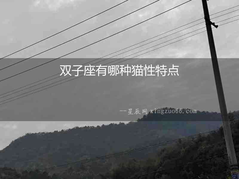 雙子座有哪種貓性特點