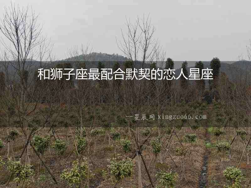 和獅子座最配合默契的戀人星座