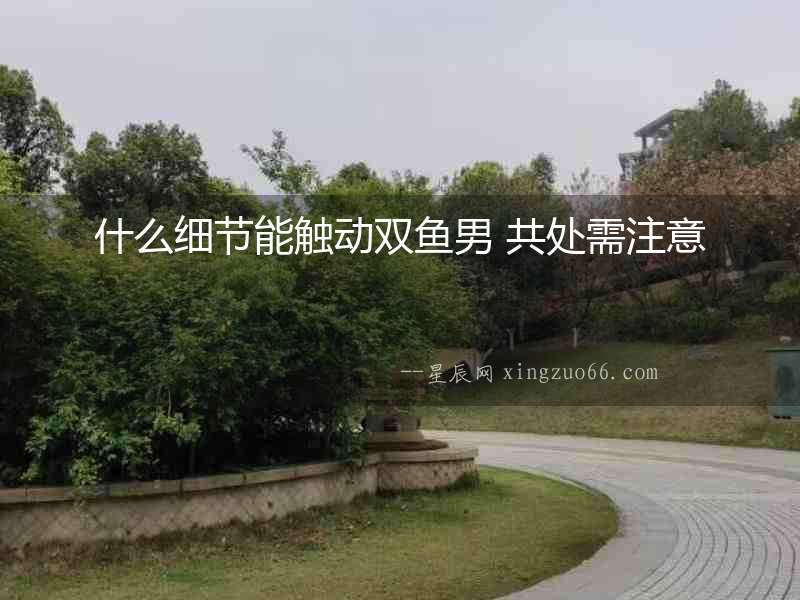 什么細(xì)節(jié)能觸動(dòng)雙魚(yú)男 共處需注意