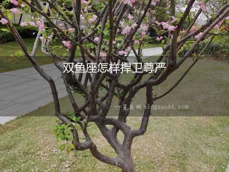 雙魚座怎樣捍衛(wèi)尊嚴(yán)