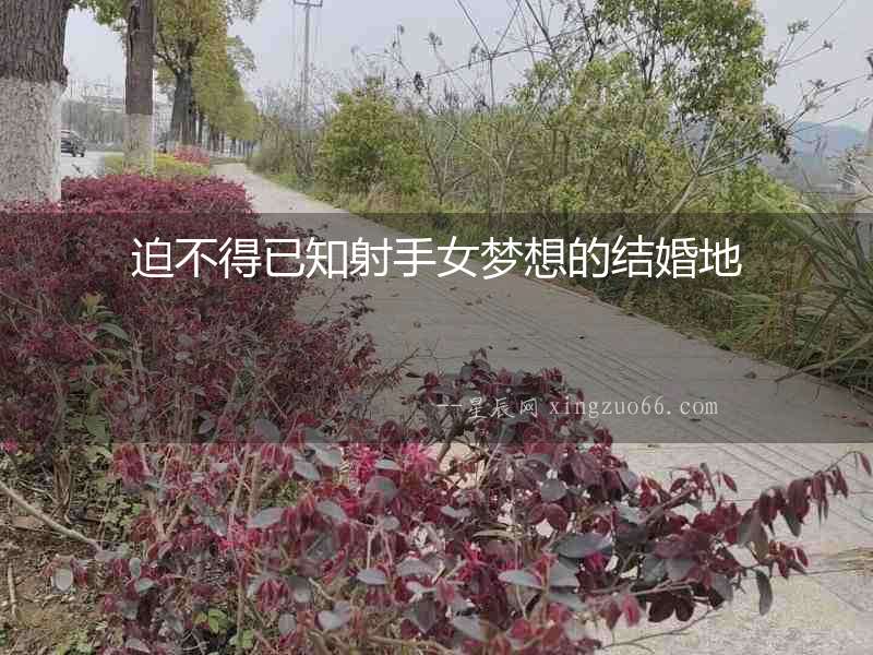迫不得已知射手女夢(mèng)想的結(jié)婚地