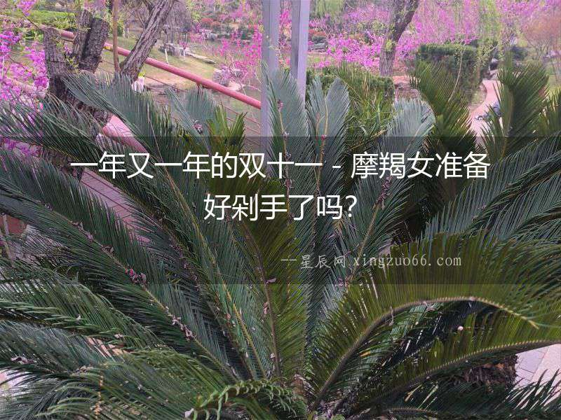 一年又一年的雙十一－摩羯女準(zhǔn)備好剁手了嗎？