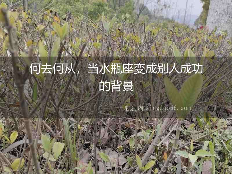 何去何從，當水瓶座變成別人成功的背景