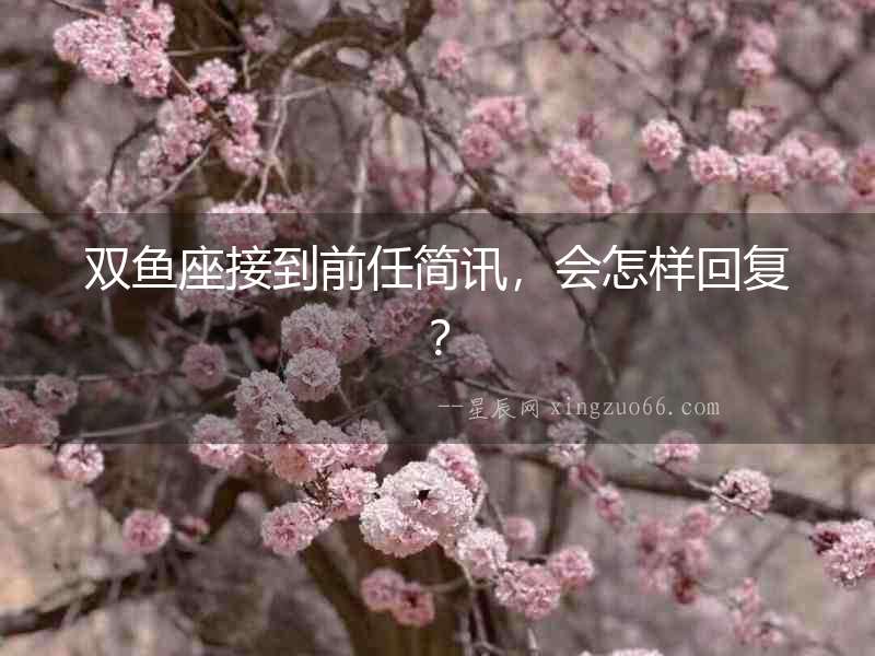 雙魚座接到前任簡訊，會怎樣回復？