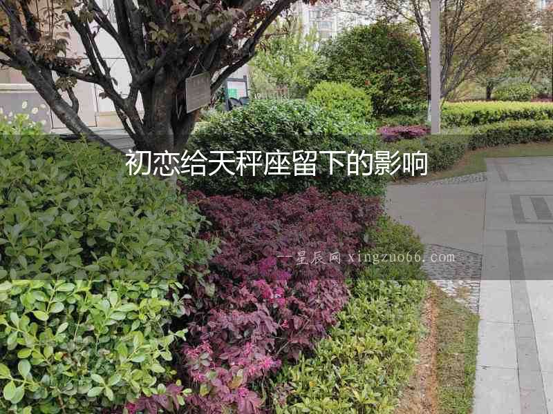 初戀給天秤座留下的影響