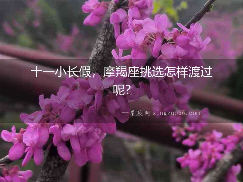 十一小長假，摩羯座挑選怎樣渡過呢？