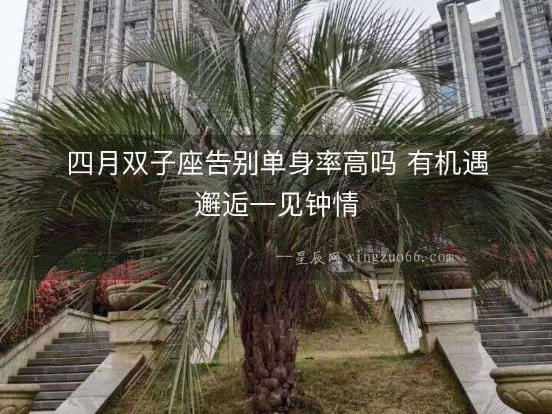 四月雙子座告別單身率高嗎 有機遇邂逅一見鐘情