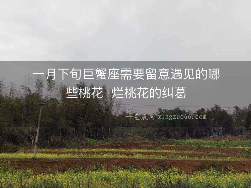 一月下旬巨蟹座需要留意遇見(jiàn)的哪些桃花  爛桃花的糾葛