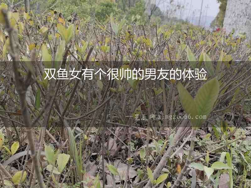 雙魚女有個很帥的男友的體驗