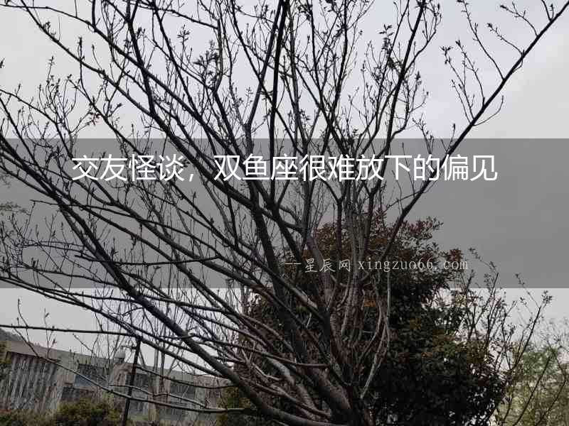 交友怪談，雙魚座很難放下的偏見