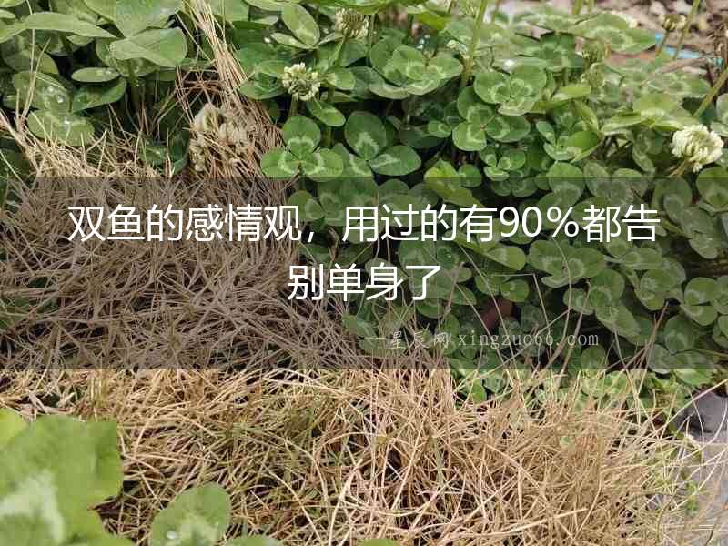 雙魚的感情觀，用過的有90％都告別單身了