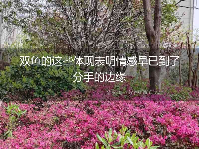 雙魚的這些體現(xiàn)表明情感早已到了分手的邊緣