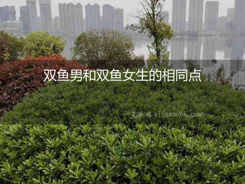 雙魚男和雙魚女生的相同點