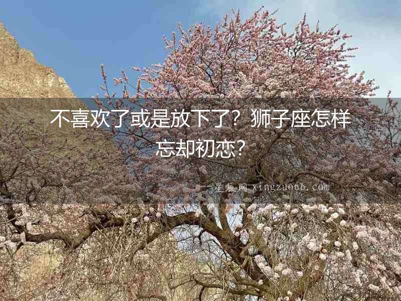 不喜歡了或是放下了？獅子座怎樣忘卻初戀？
