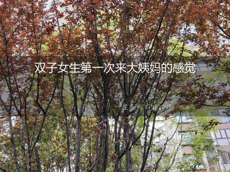 雙子女生第一次來大姨媽的感覺