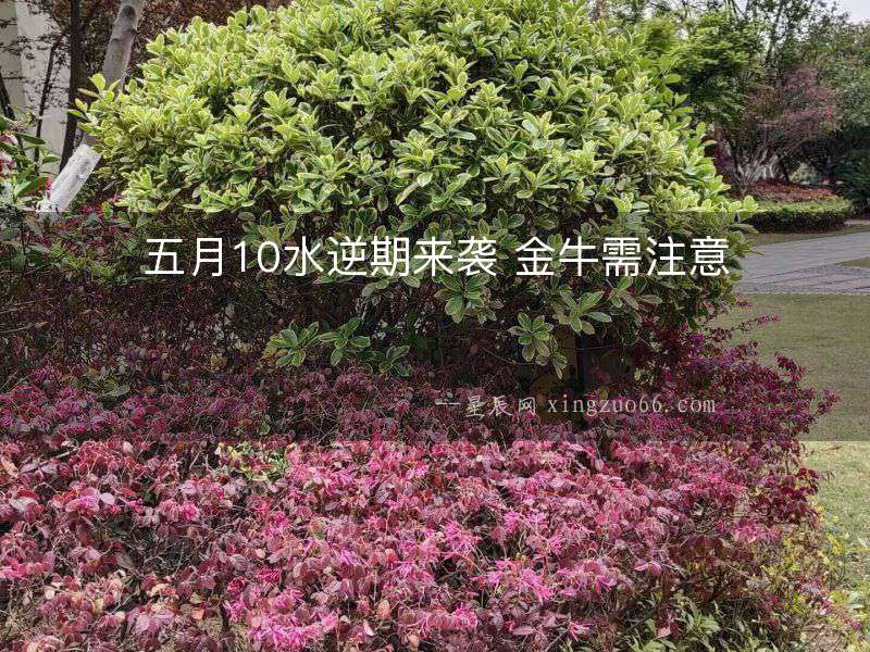 五月10水逆期來襲 金牛需注意