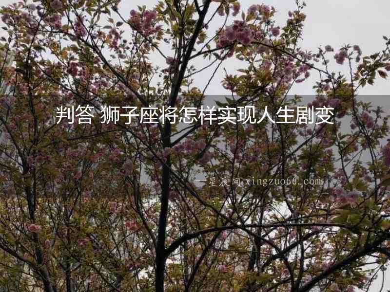 判答 獅子座將怎樣實(shí)現(xiàn)人生劇變