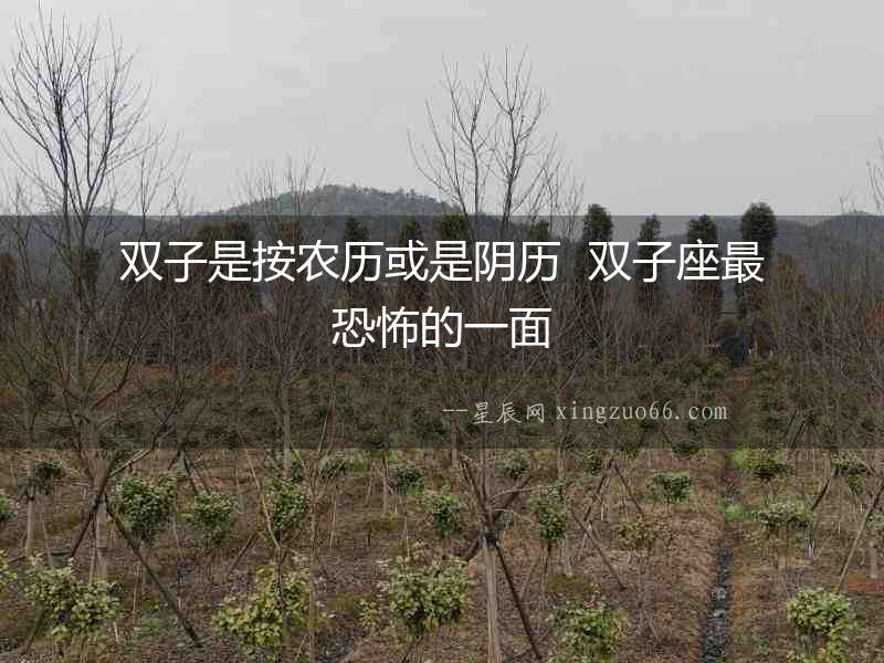雙子是按農(nóng)歷或是陰歷  雙子座最恐怖的一面