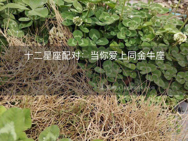 十二星座配對：當你愛上同金牛座
