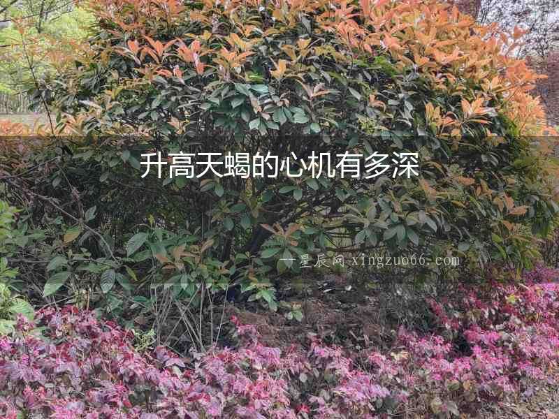 升高天蝎的心機(jī)有多深