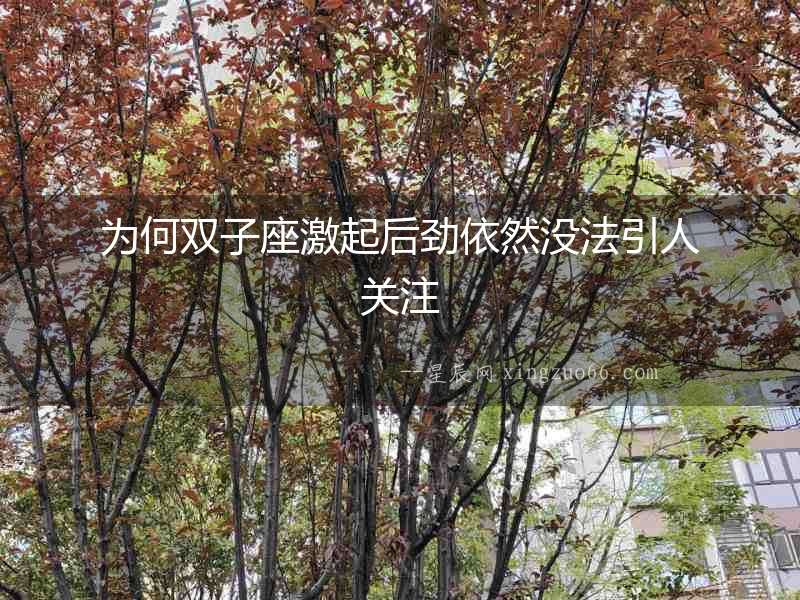 為何雙子座激起后勁依然沒法引人關注