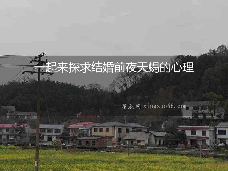 一起來探求結(jié)婚前夜天蝎的心理
