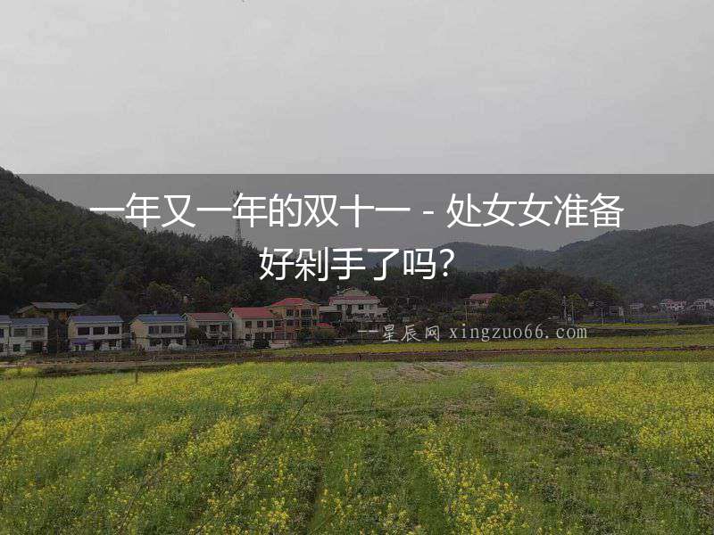 一年又一年的雙十一－處女女準備好剁手了嗎？