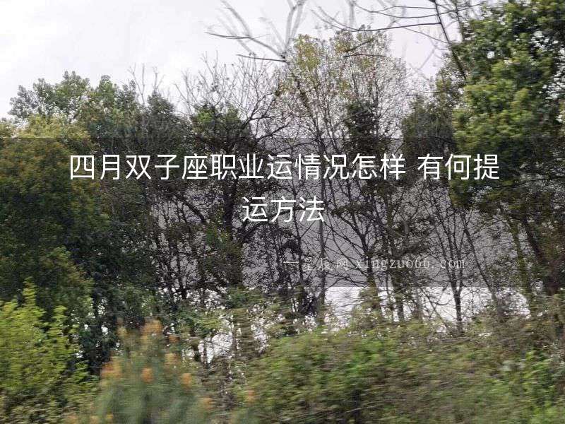 四月雙子座職業(yè)運(yùn)情況怎樣 有何提運(yùn)方法