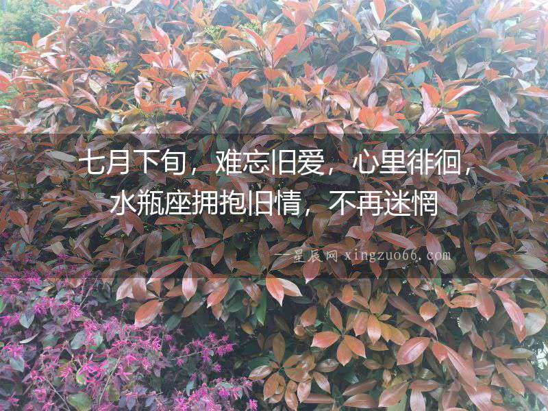 七月下旬，難忘舊愛，心里徘徊，水瓶座擁抱舊情，不再迷惘