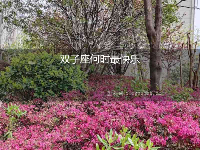 雙子座何時最快樂