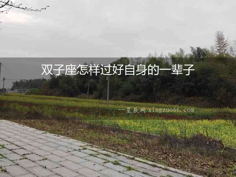 雙子座怎樣過好自身的一輩子