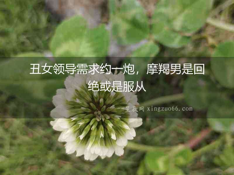 丑女領導需求約一炮，摩羯男是回絕或是服從