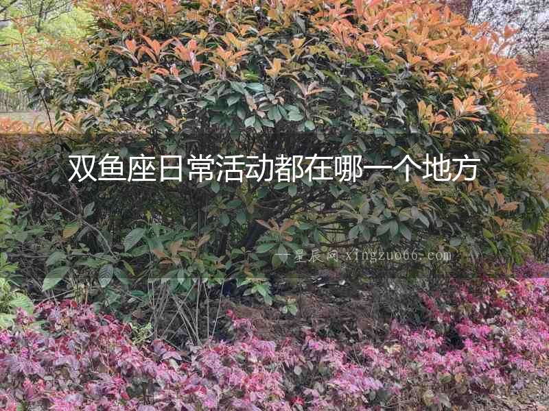 雙魚座日?；顒佣荚谀囊粋€地方