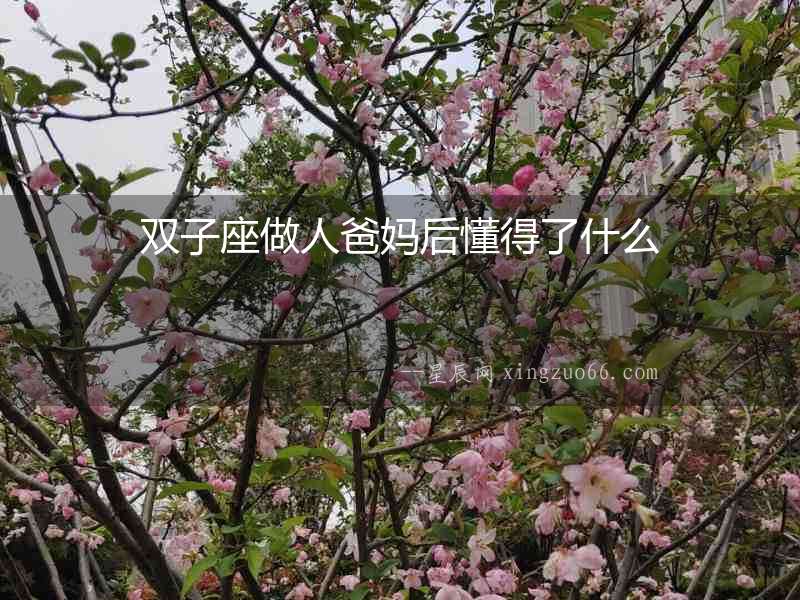 雙子座做人爸媽后懂得了什么