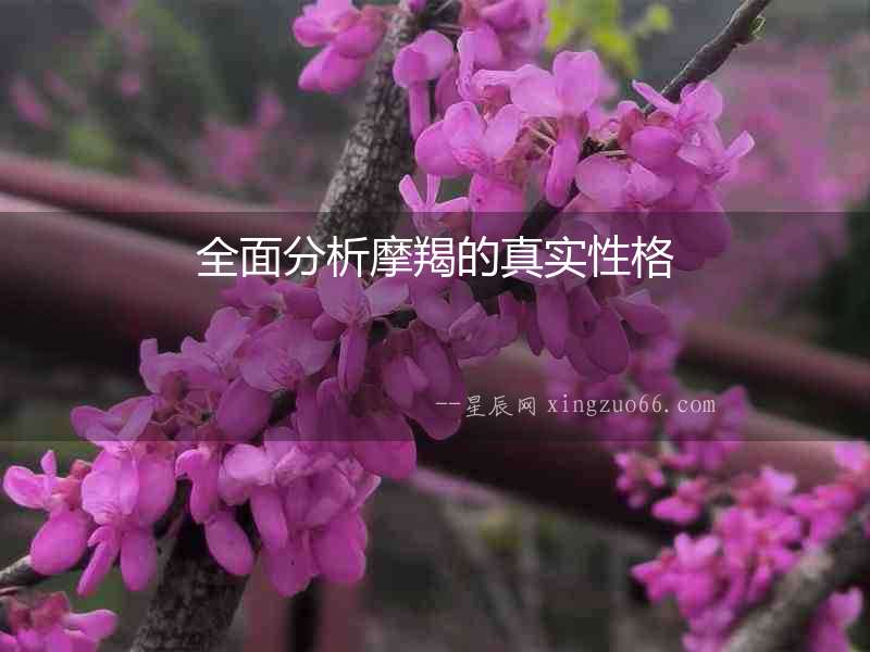 全面分析摩羯的真實(shí)性格