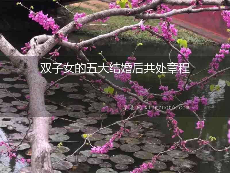 雙子女的五大結婚后共處章程