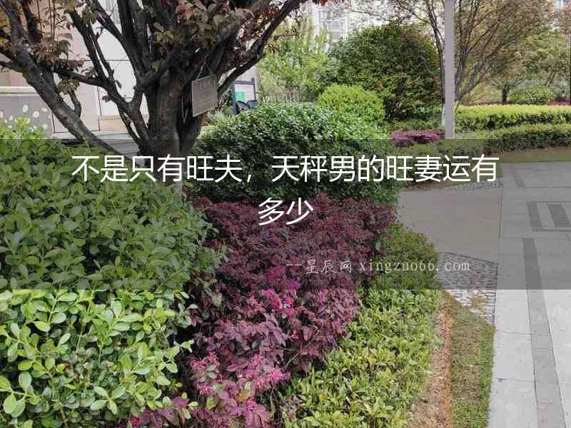不是只有旺夫，天秤男的旺妻運有多少