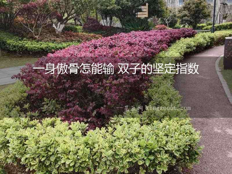一身傲骨怎能輸 雙子的堅(jiān)定指數(shù)