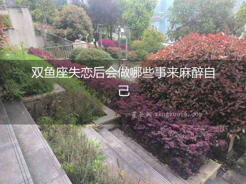 雙魚座失戀后會做哪些事來麻醉自己