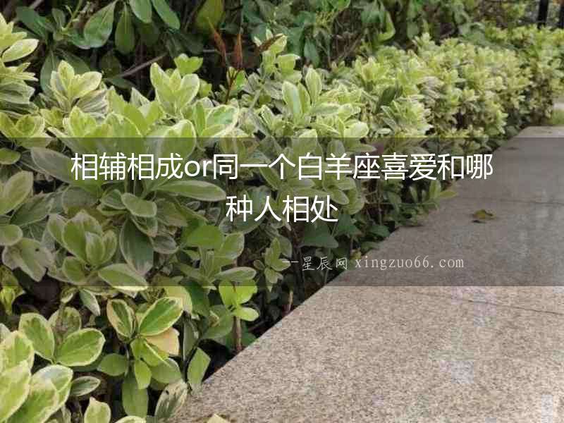 相輔相成or同一個白羊座喜愛和哪種人相處