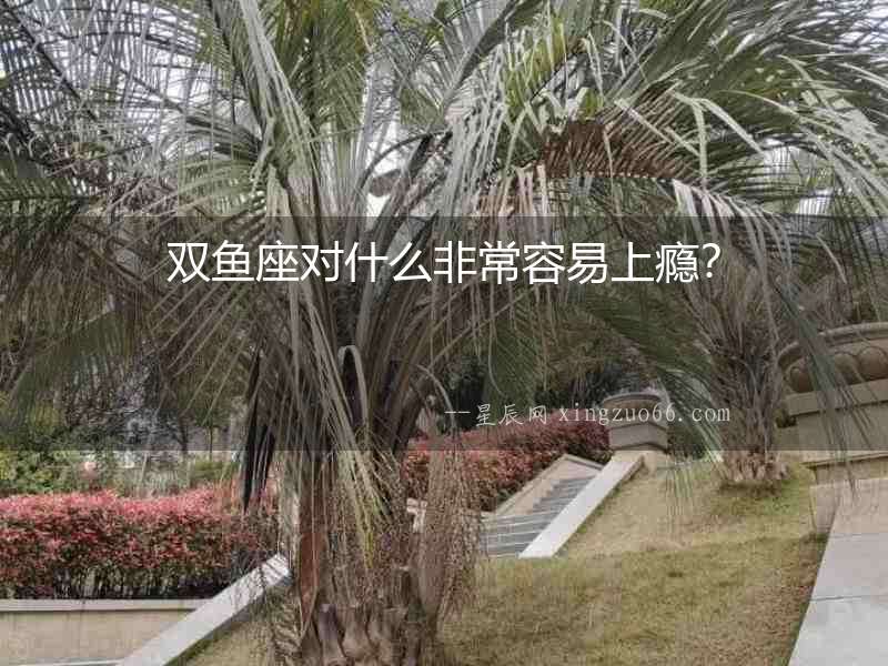 雙魚座對什么非常容易上癮？