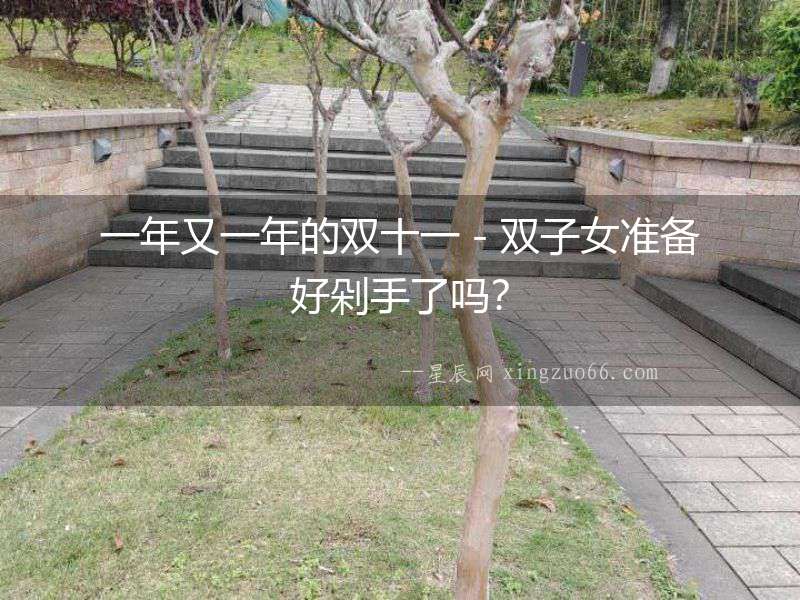 一年又一年的雙十一－雙子女準(zhǔn)備好剁手了嗎？