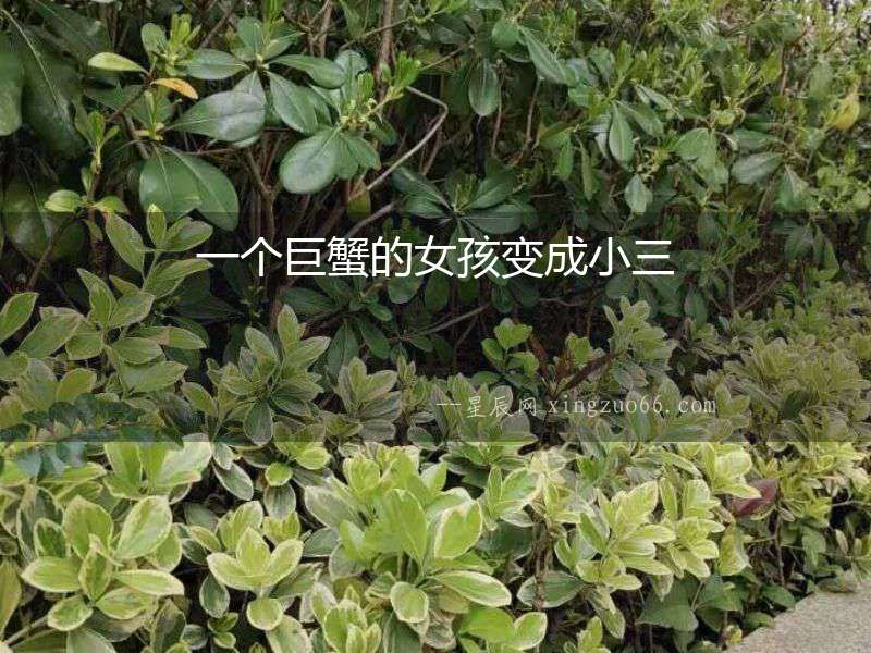 一個(gè)巨蟹的女孩變成小三