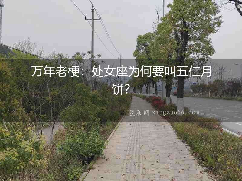 萬年老梗：處女座為何要叫五仁月餅？