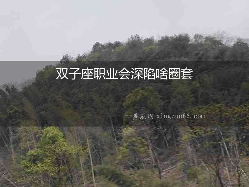 雙子座職業會深陷啥圈套