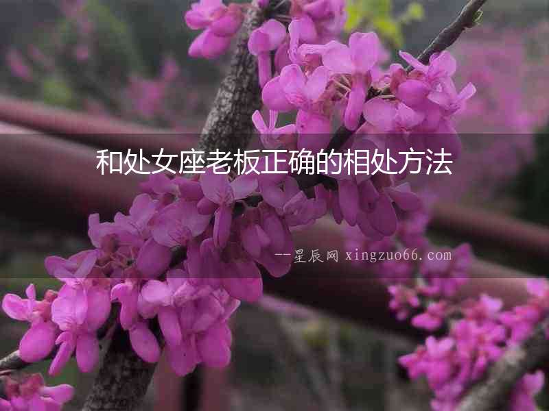 和處女座老板正確的相處方法