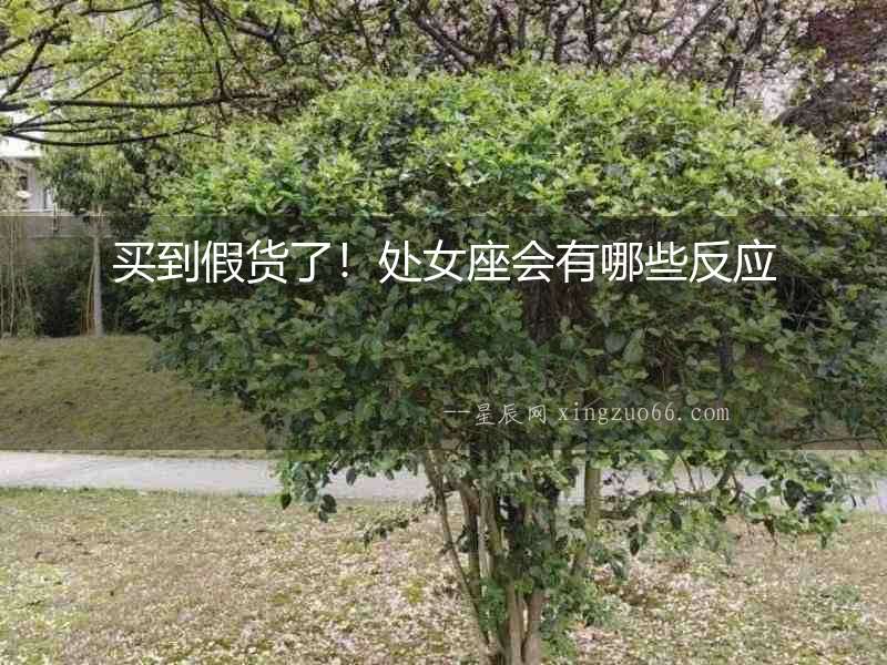 買到假貨了！處女座會有哪些反應