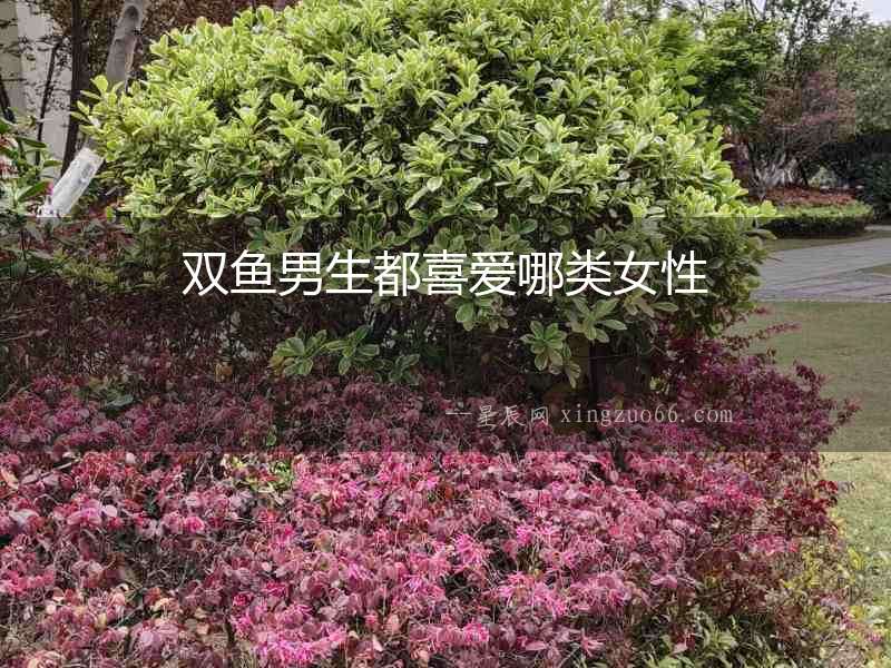 雙魚(yú)男生都喜愛(ài)哪類女性