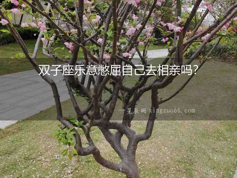 雙子座樂意憋屈自己去相親嗎？